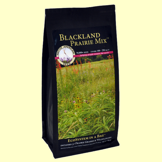 Plants for Birds - Blackland Prairie Mix - Large Pack (Native American Seed)