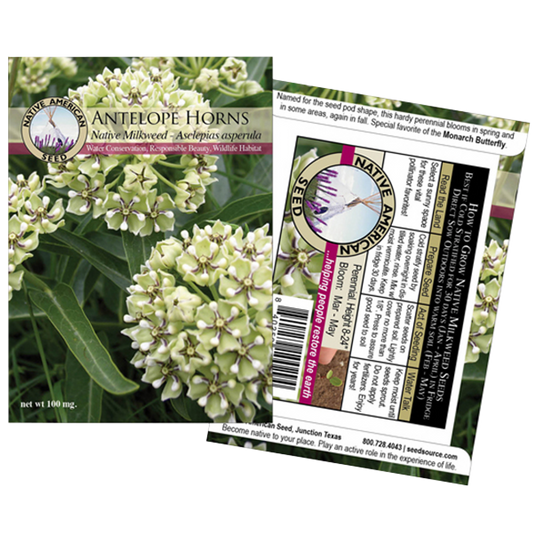 Plants for Birds - Antelope Horns Milkweed - Small Pack (Native American Seed)