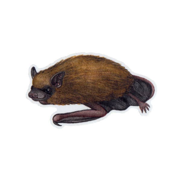 Sticker - Big Brown Bat