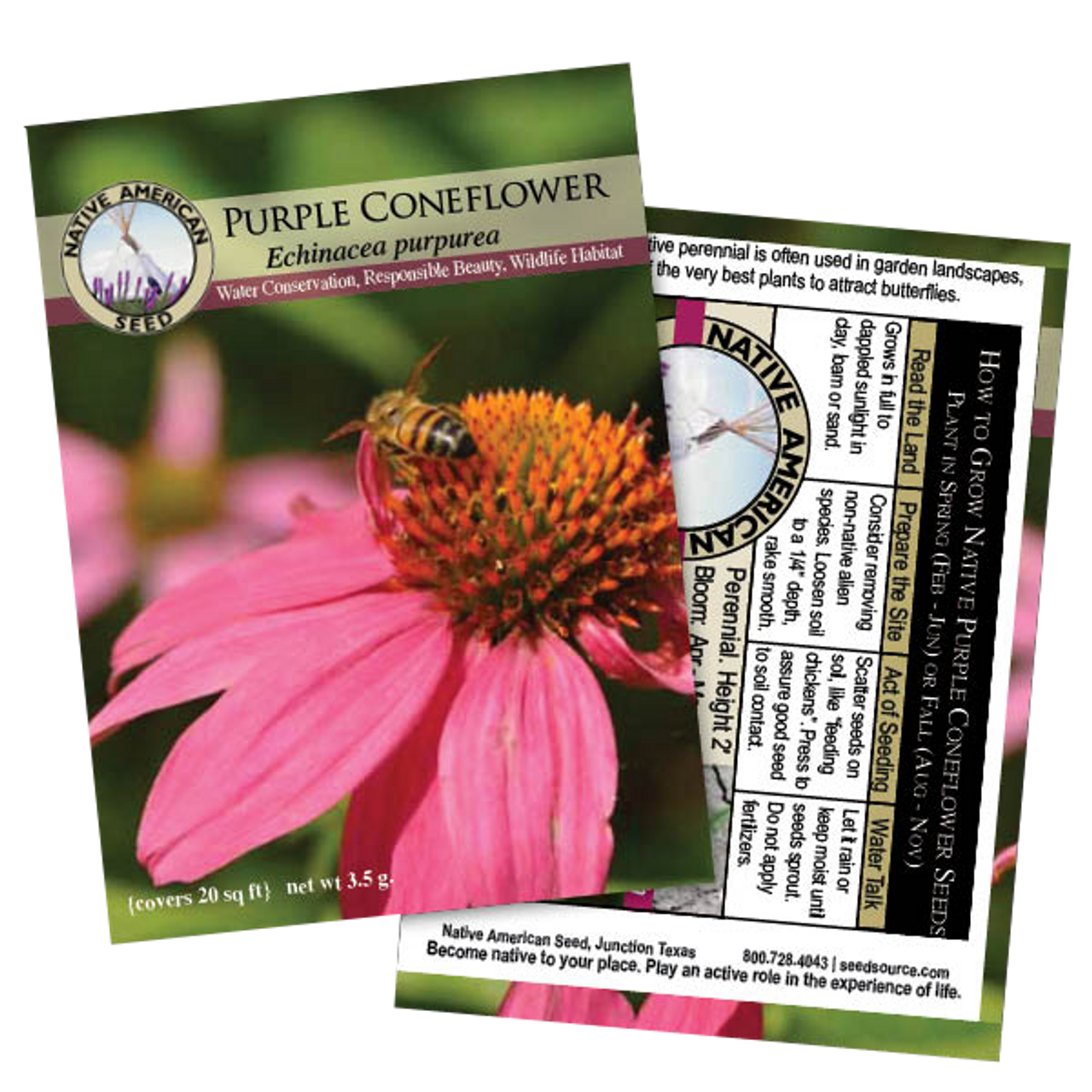 Plants for Birds - Purple Coneflower - Small Pack (Native American Seed)