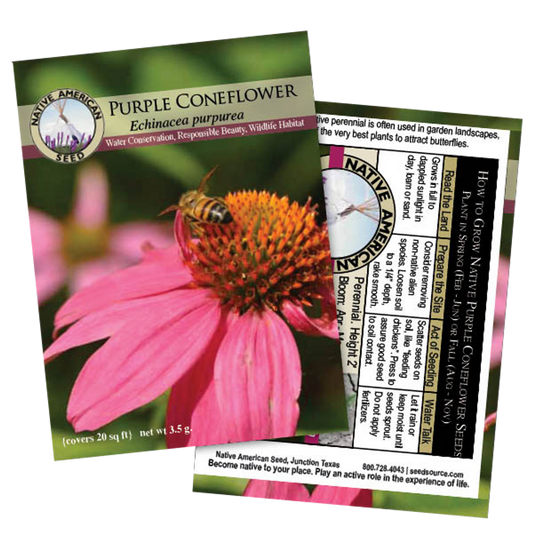 Plants for Birds - Purple Coneflower - Small Pack (Native American Seed)