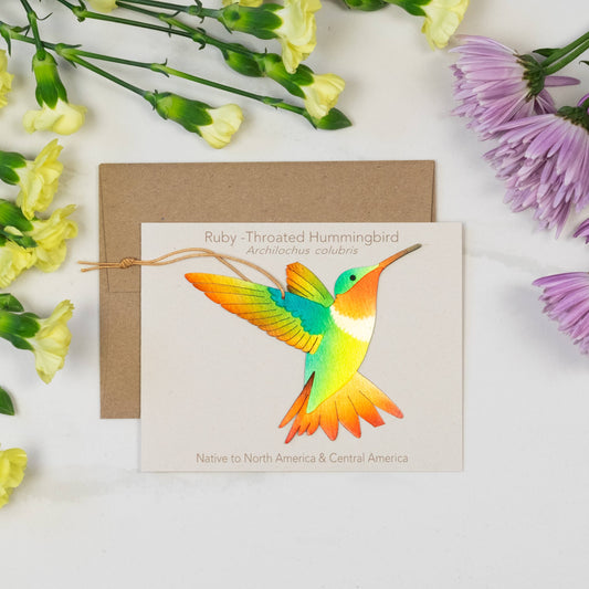 Greeting Card  - Ruby-Throated Hummingbird Ornament + Notecard