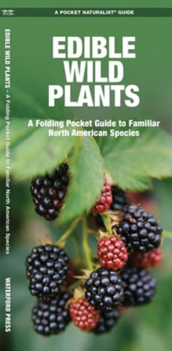 Folding Guide - Edible Wild Plants: A Folding Pocket Guide to Familiar North American Species