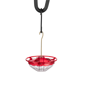 Birds - Mini High Perch™ Hummingbird Feeder