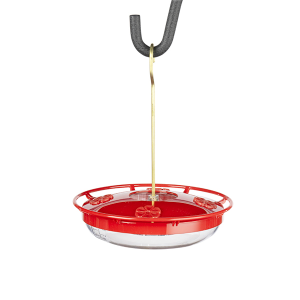 Birds - Medium High Perch™ Hummingbird Feeder