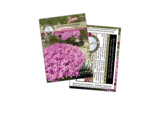 Plants for Birds - Mountain Pinks  - Small Pack (Native American Seed)