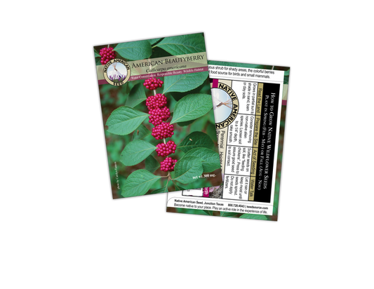 Plants for Birds - American Beautyberry - Small Pack (Native American Seed)