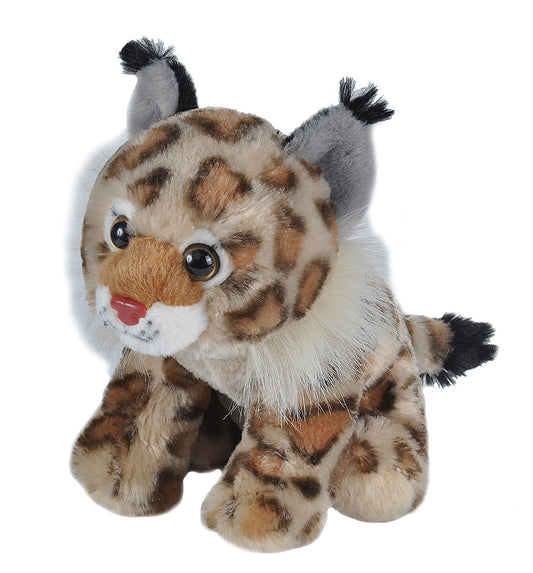 Plush Animal - Bobcat - Cuddlekins Mini 8"