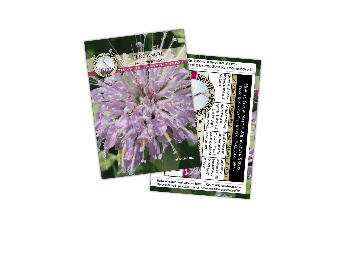 Plants for Birds - Bergamot  - Small Pack (Native American Seed)