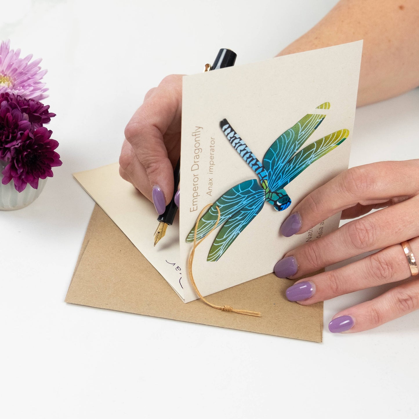 Greeting Card  - Dragonfly Ornament + Notecard