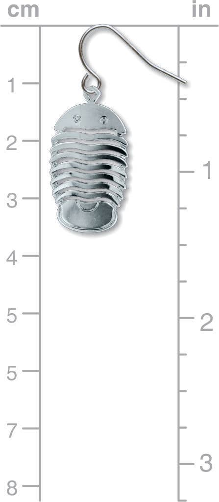 Boxed Jewelry - Trilobite Earrings