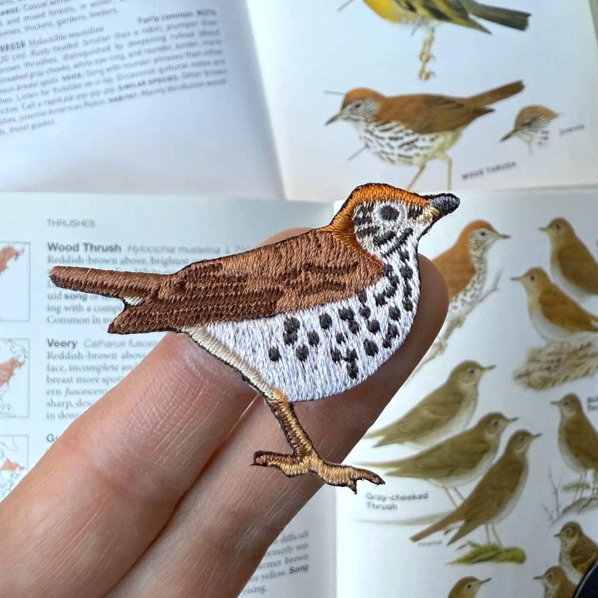 Bird Patch - Wood Thrush (#71 of collection)