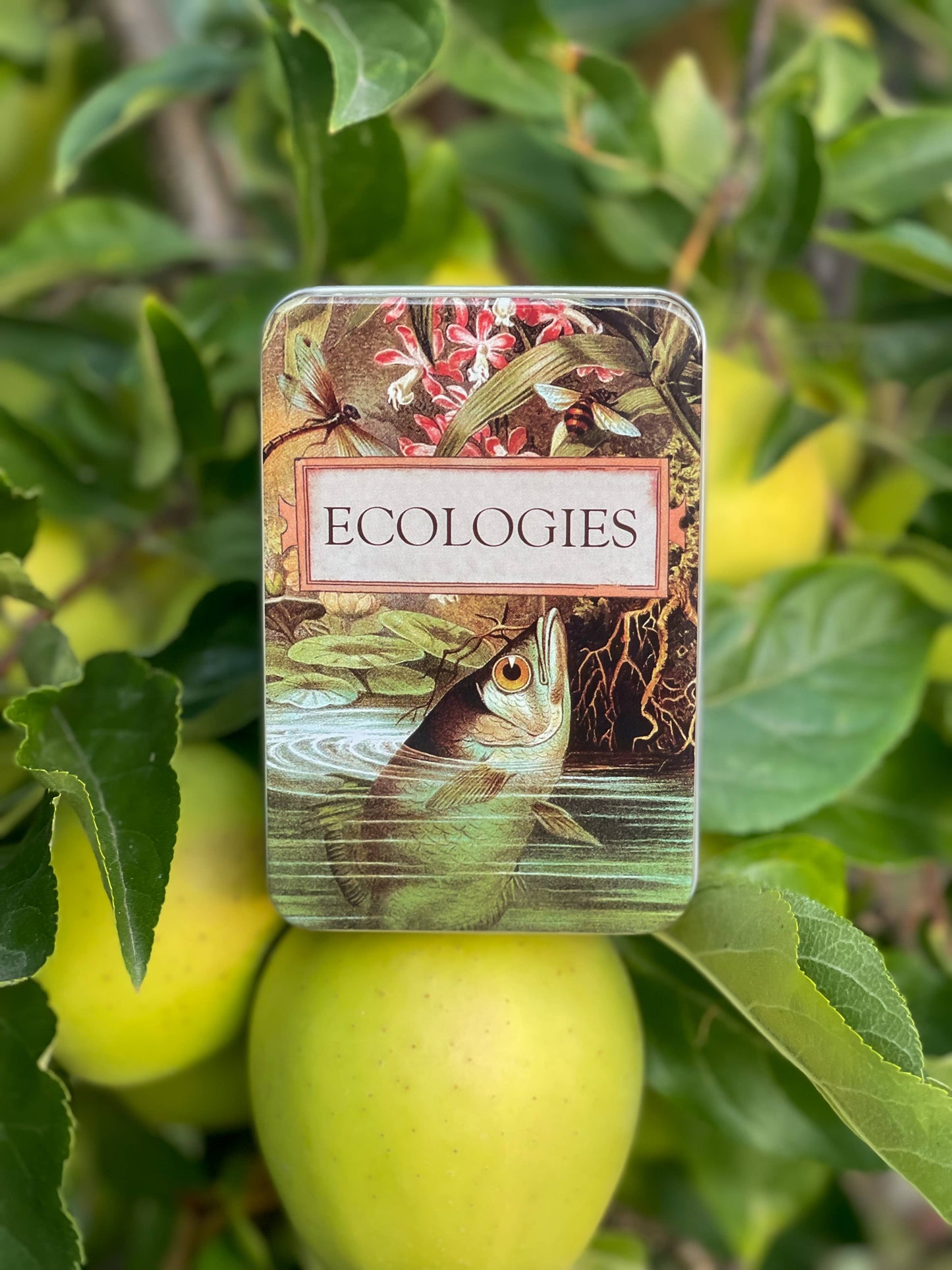 Games - Ecologies Card Game Metal Tin with Archerfish Image