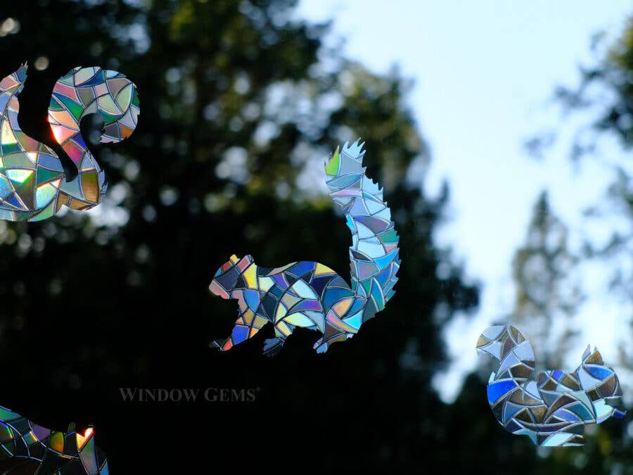 Window Gems - Squirrels - Window Clings Bird Strike Prevention Decals