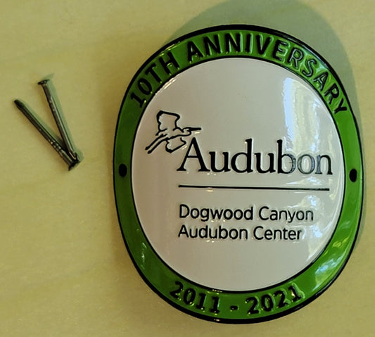 Souvenirs - Hiking Stick Medallion - DCAC 10 Year Anniversary (2011-2021)