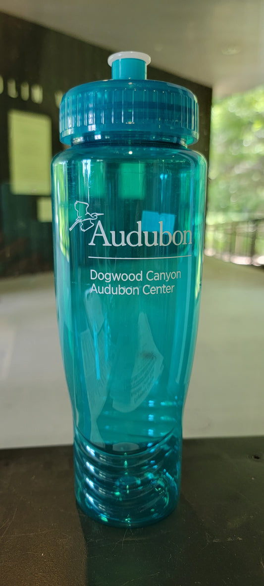 Logo - Aqua Plastic Water Bottle with DCAC Logo