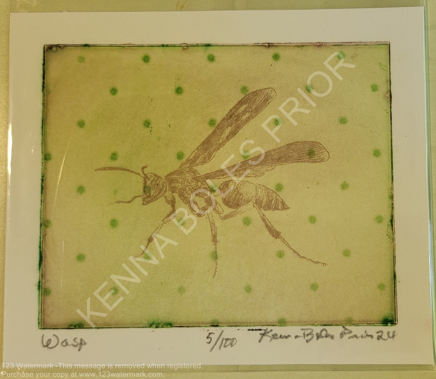 Kenna Boles Prior Original Artwork - 4" x 5" Photogravure - Wasp