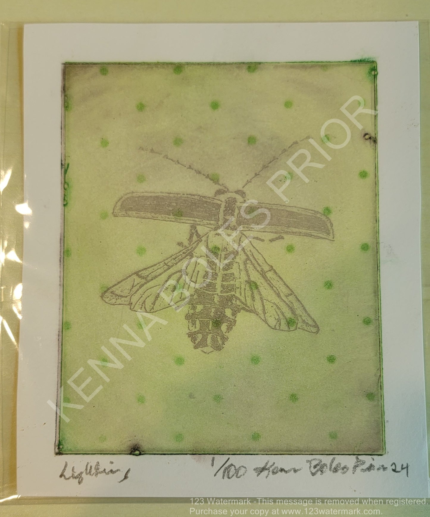 Kenna Boles Prior Original Artwork - 4" x 5" Photogravure - Lightning Bug