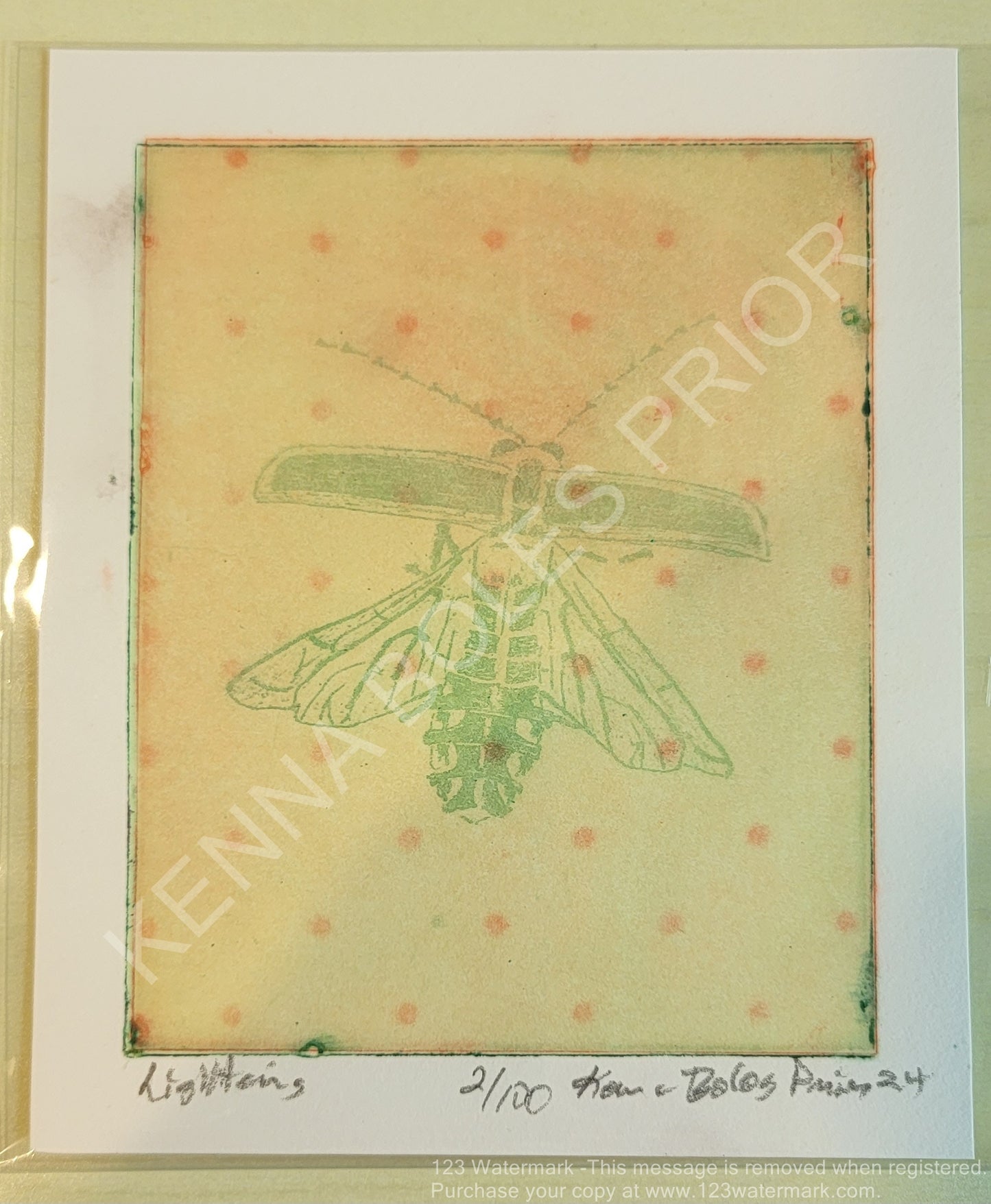 Kenna Boles Prior Original Artwork - 4" x 5" Photogravure - Lightning Bug