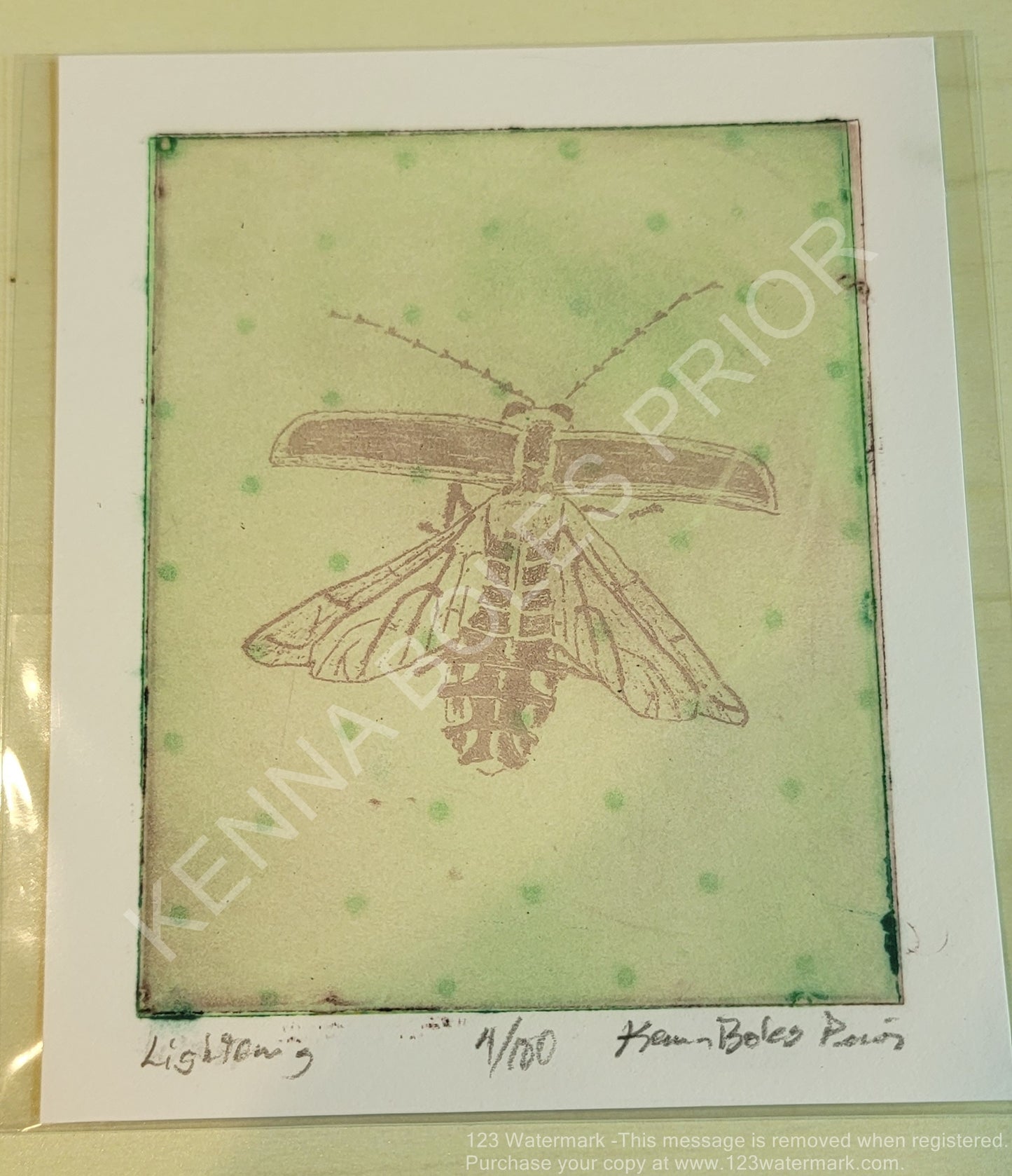 Kenna Boles Prior Original Artwork - 4" x 5" Photogravure - Lightning Bug