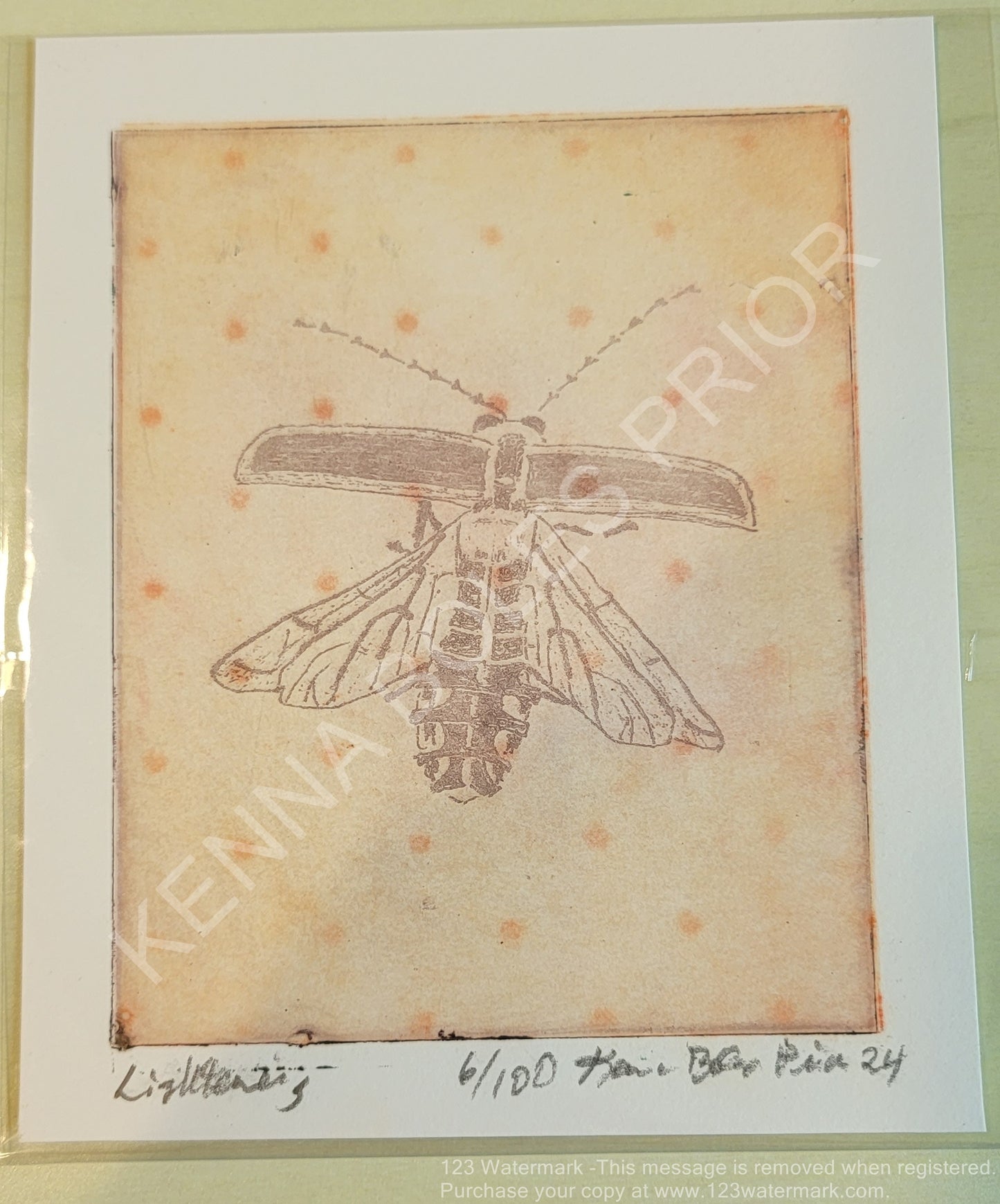 Kenna Boles Prior Original Artwork - 4" x 5" Photogravure - Lightning Bug