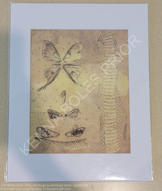 Kenna Boles Prior Original Artwork - 8" x 10" Photogravure - "Nature's Collection"