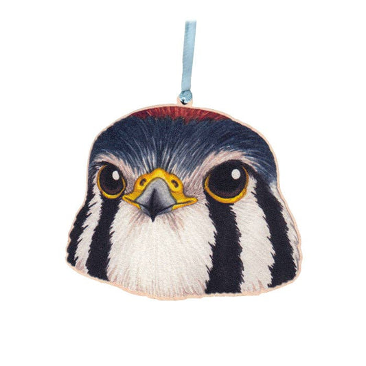 Ornament - American Kestrel Portrait