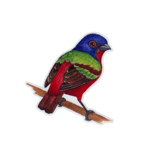 Sticker - Painted Bunting Perched