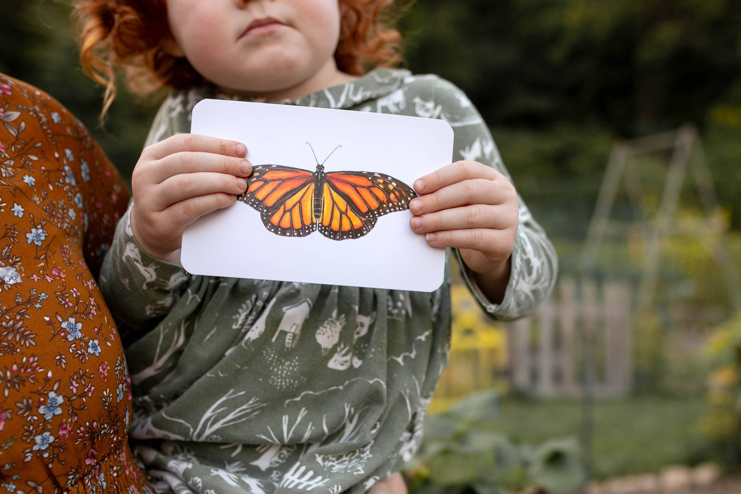 Montessori Learning Cards - Butterflies and Caterpillars