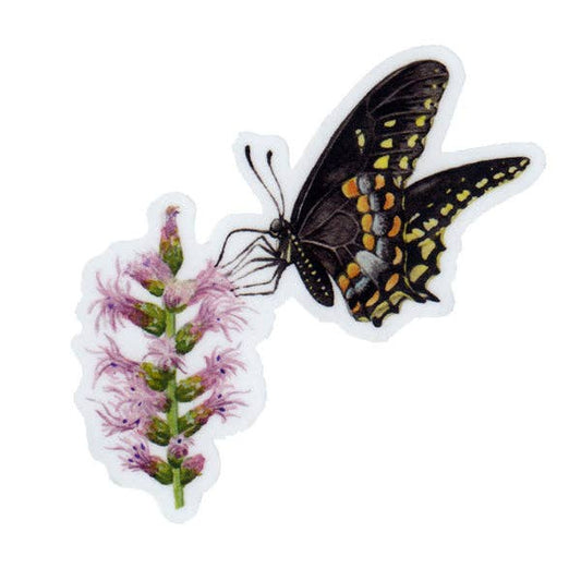 Sticker - Spicebush Swallowtail Butterfly on Blazing Star