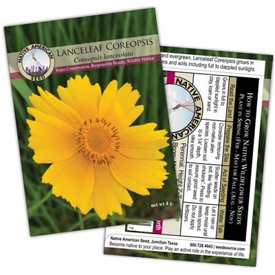 Plants for Birds - Lanceleaf Coreopsis - Small Pack (Native American Seed)