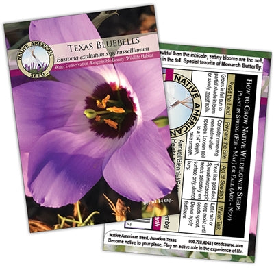 Plants for Birds - Texas Bluebells - Small Pack (Native American Seed)