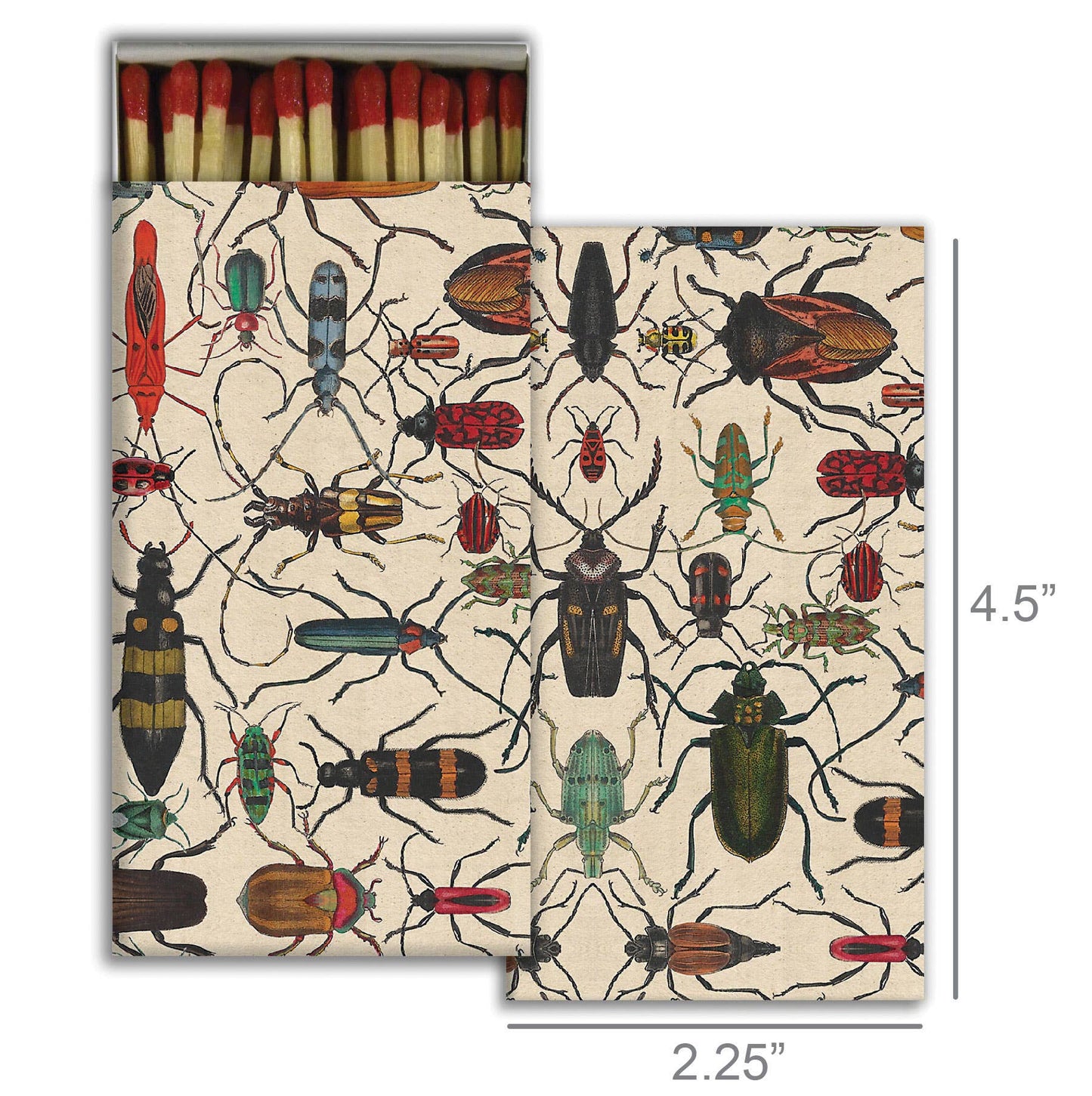 Matches - Mixed Beetles (4.25")