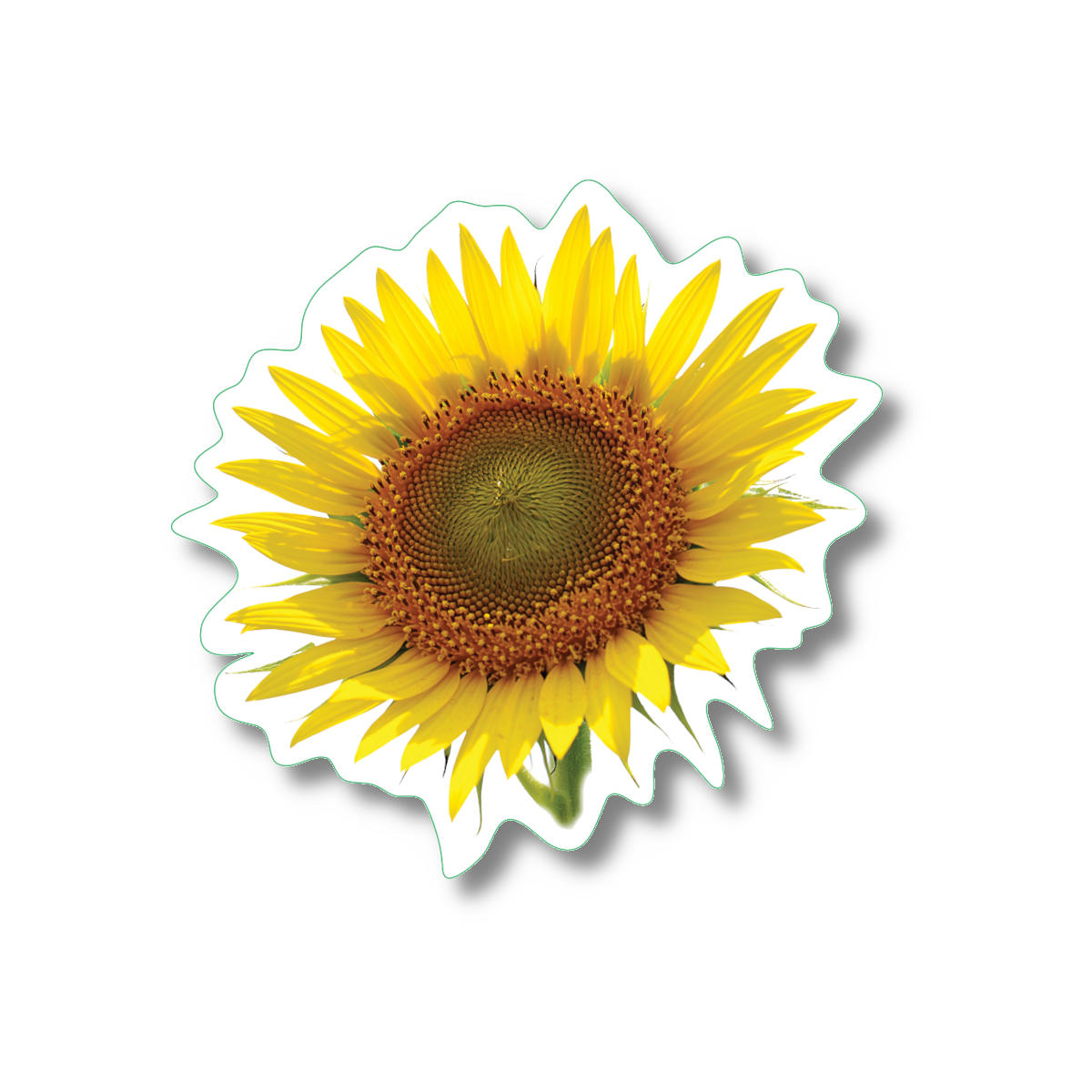 Sticker - Sunflower Nature Sticker, 2.5" x 3.5"