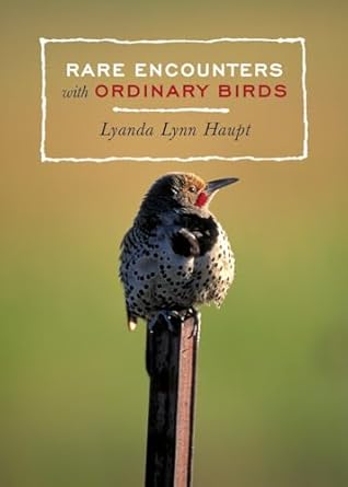 Book - Rare Encounters with Ordinary Birds by Lyanda Lynn Haupt (Paperback)