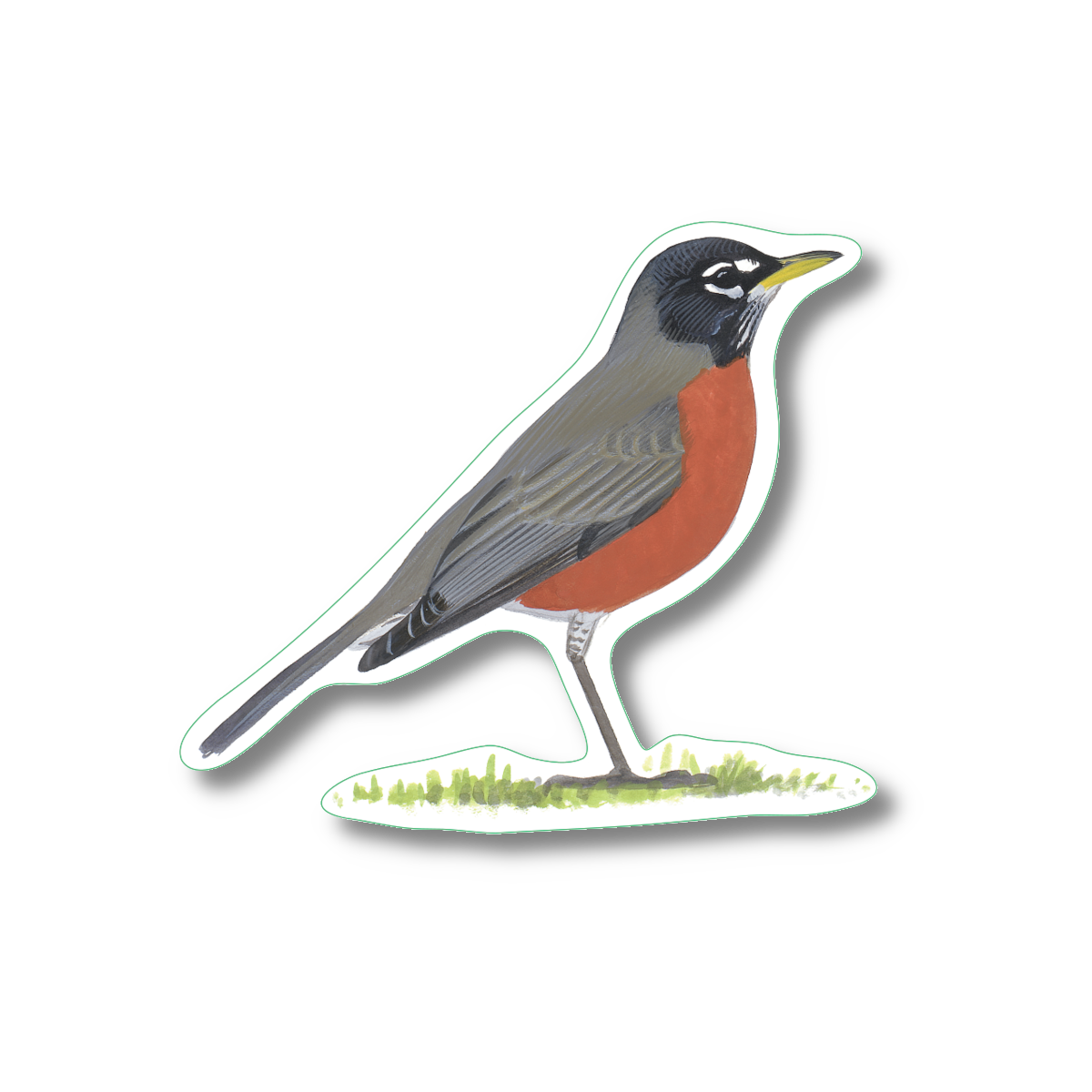 Sticker - American Robin Nature Sticker, 2.5" x 3.5"