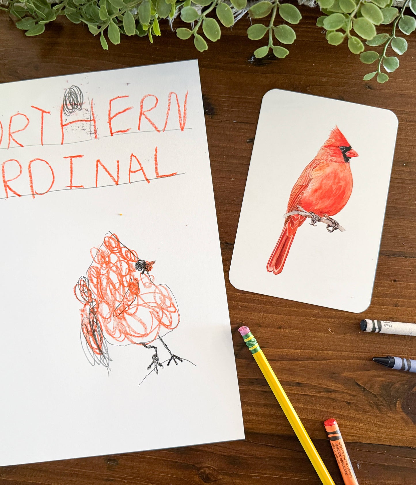 Montessori Learning Cards - Backyard Birds and Eggs