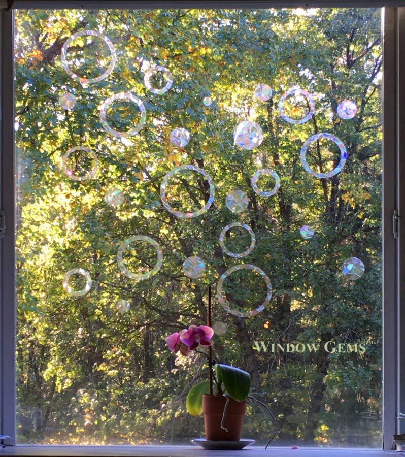 Window Gems - Rings & Circles - Window Clings Bird Strike Prevention Decals