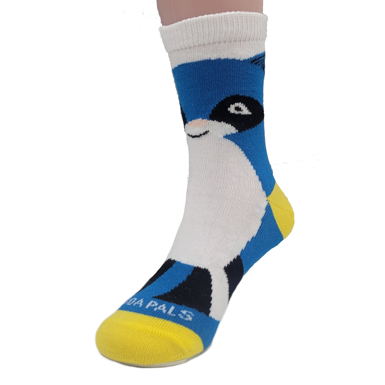 Socks - Kids - Blue Raccoon