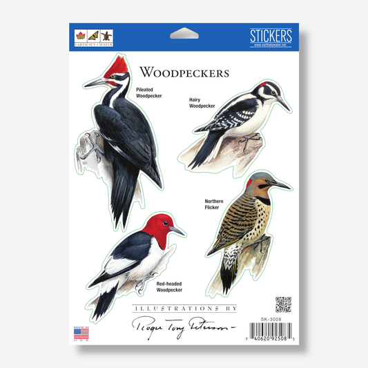 Sticker Sheet - Woodpeckers Nature Stickers, 5" x 7"