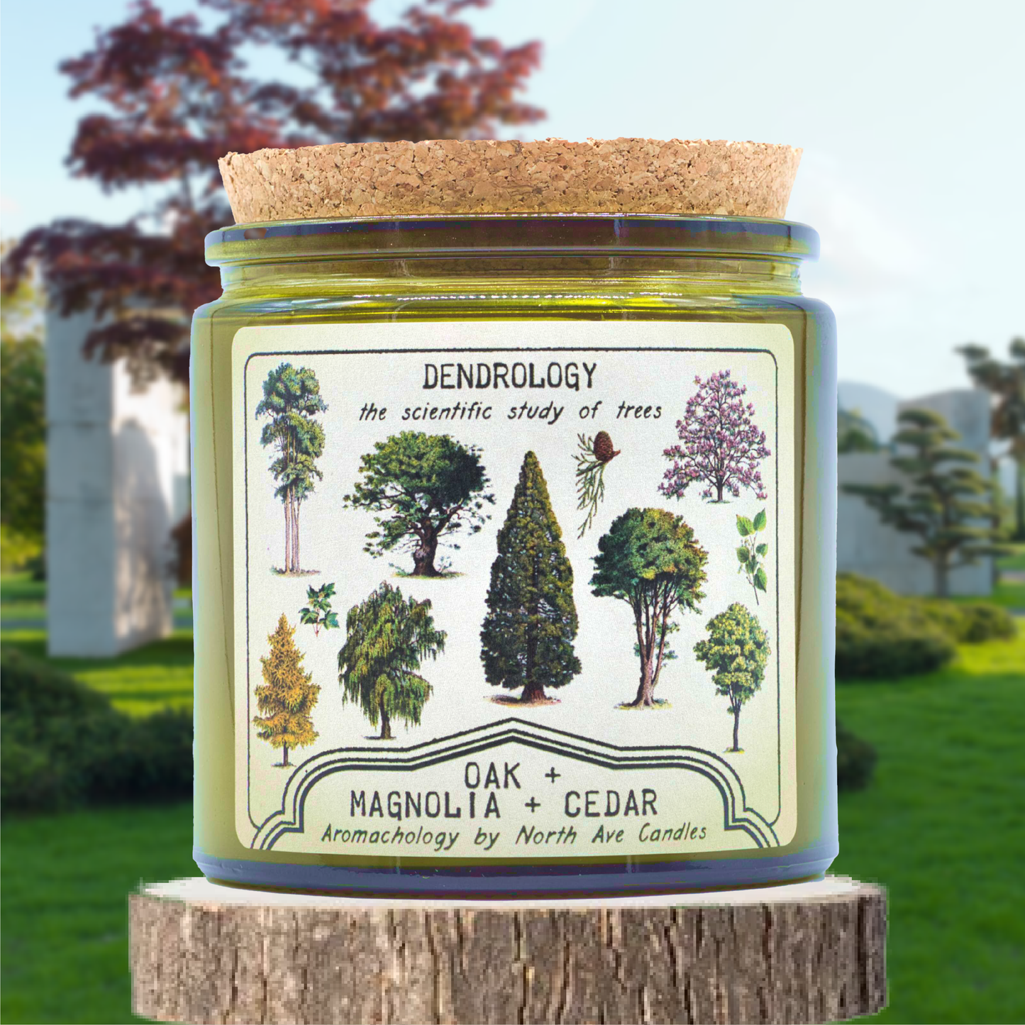 Candle - Aromachology / Trees / Dendrology (Oak, Magnolia, Cedar)