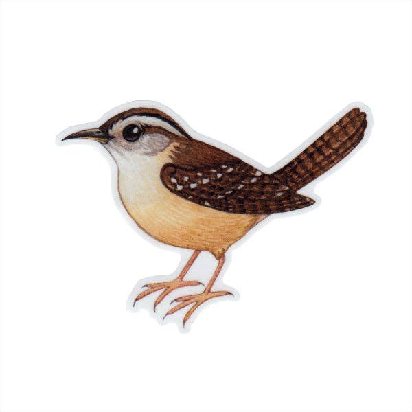 Sticker - Carolina Wren