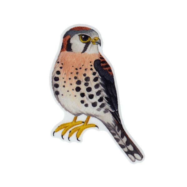 Sticker - American Kestrel