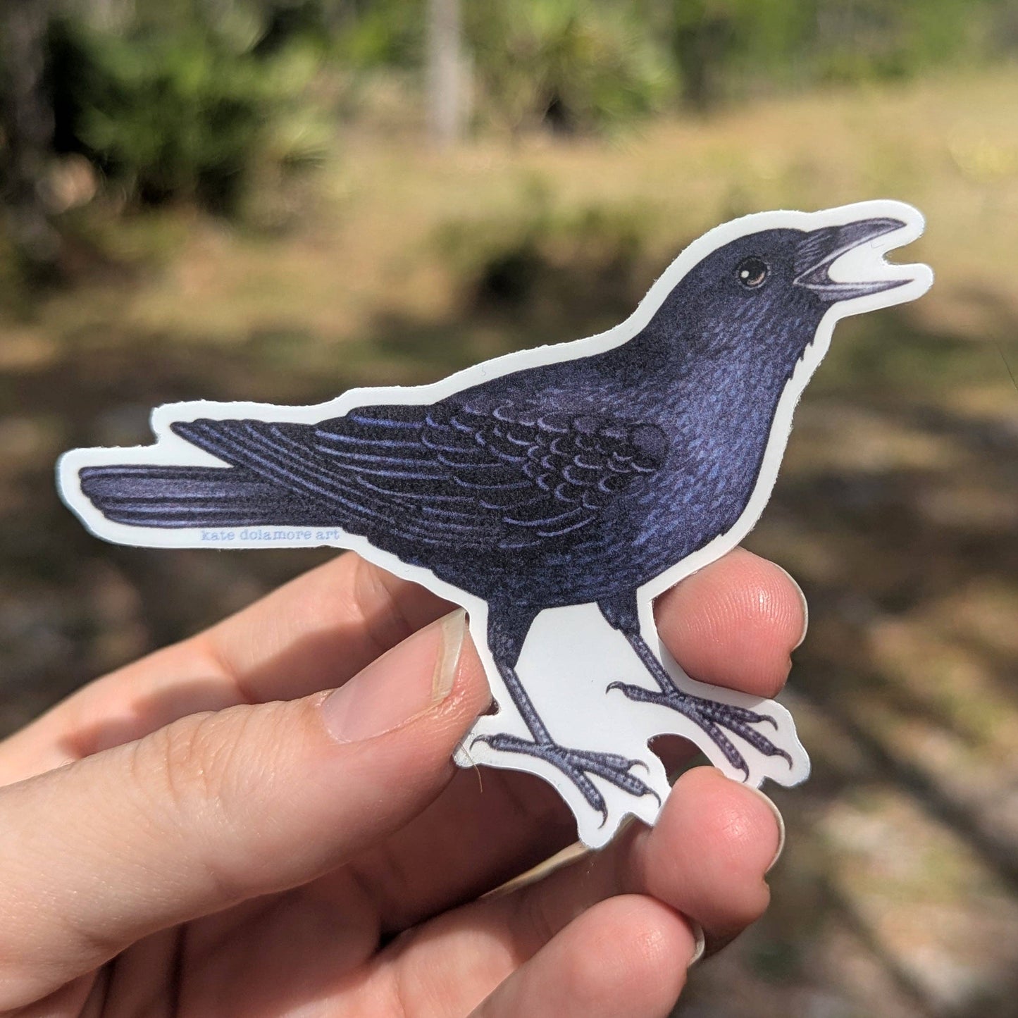 Sticker - American Crow Cawing
