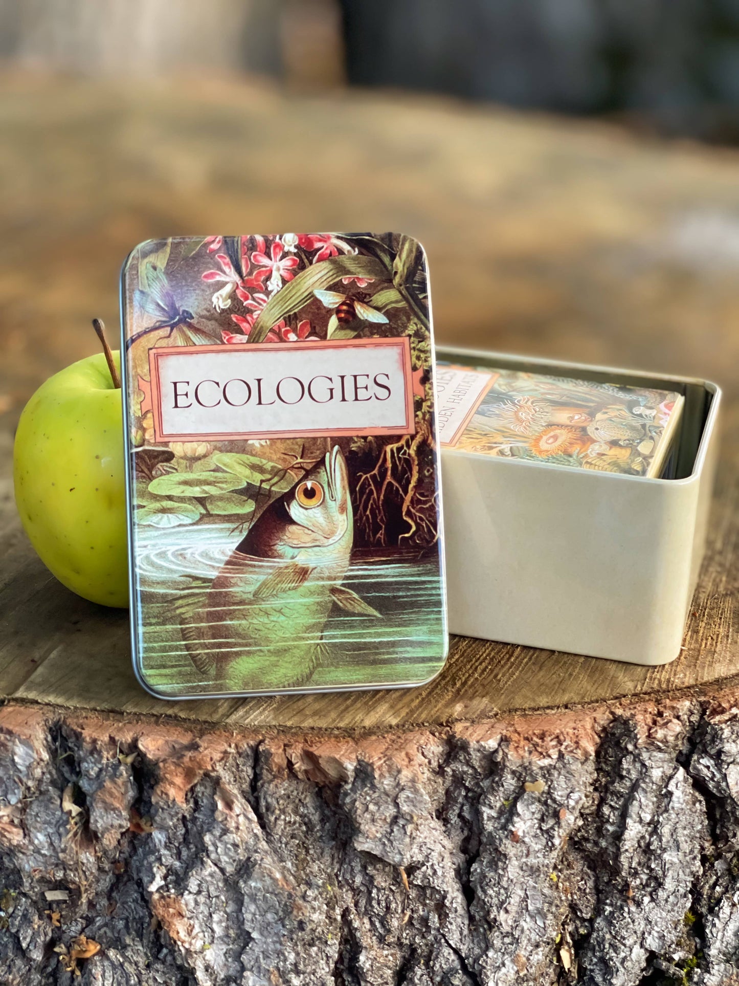 Games - Ecologies Card Game Metal Tin with Archerfish Image