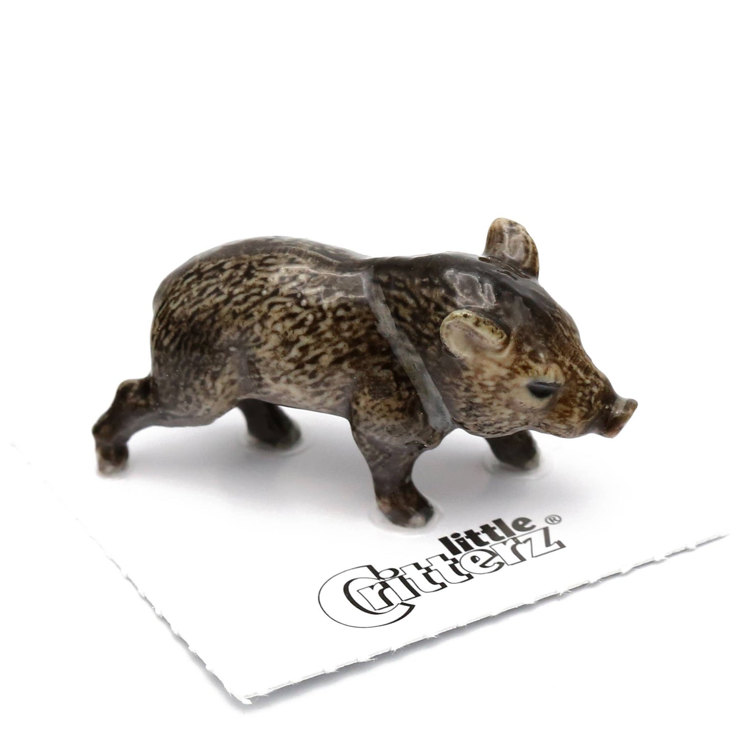 Little Critterz Porcelain Miniature - "Jabali" Javelina