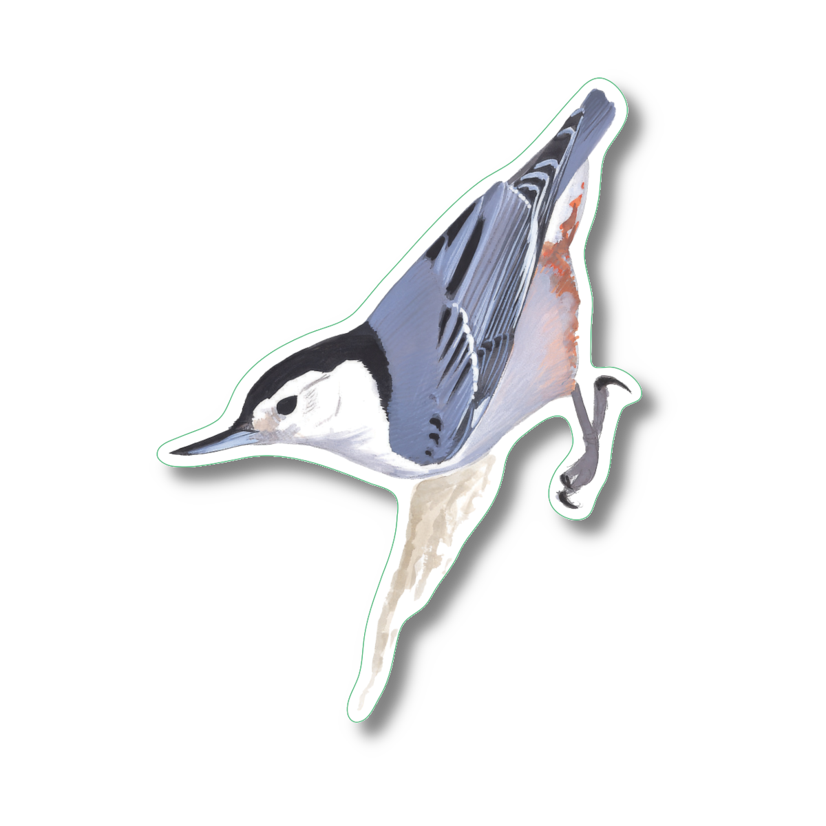 Sticker - White-breasted Nuthatch Nature Sticker, 2.5" x 3.5"