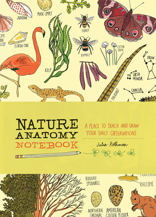 Nature Anatomy Notebook Book - Insect Anatomy Notebook by Julia Rothman (Paperback)