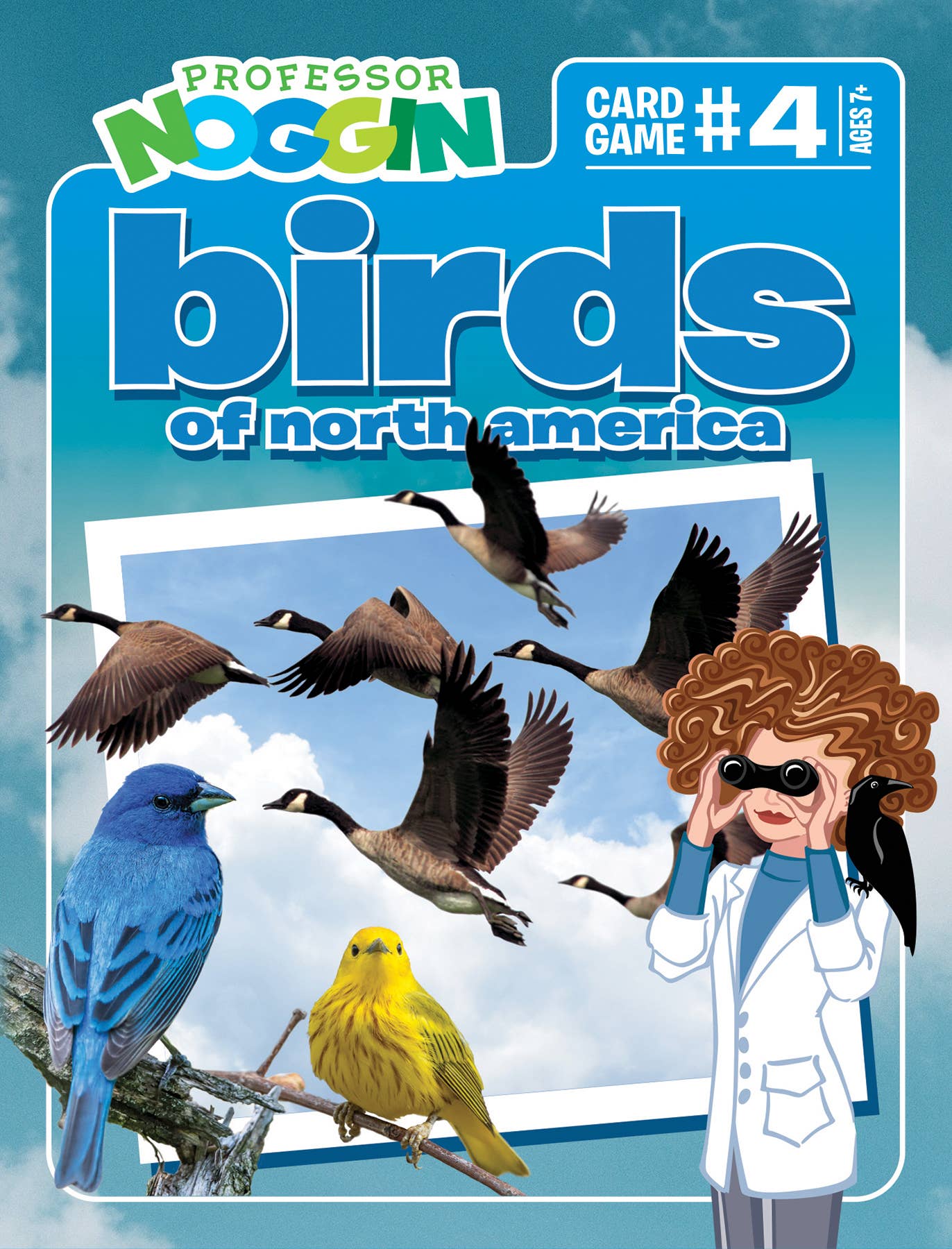 Game - Prof. Noggin's Birds of North America Card Game
