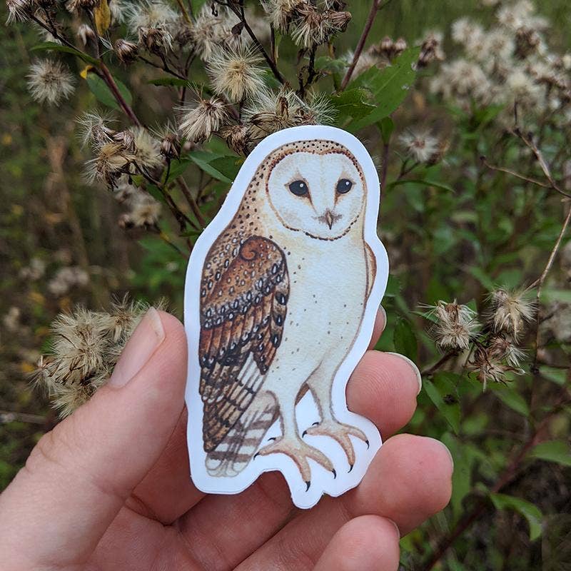 Sticker - Barn Owl